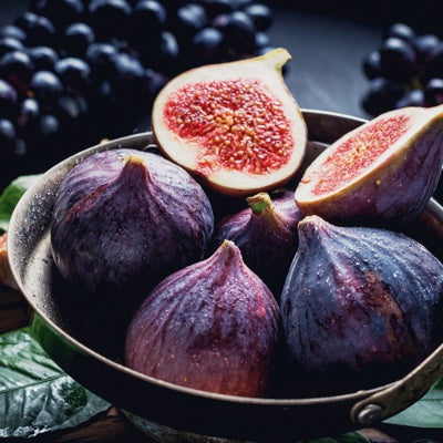 fig.jpg