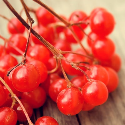 red-berries.jpg